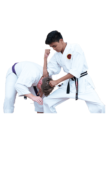 New York City Goju Ryu Karate Jutsu Owner