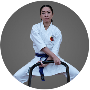 Martial Arts New York City Goju Ryu Karate Jutsu Adult Programs
